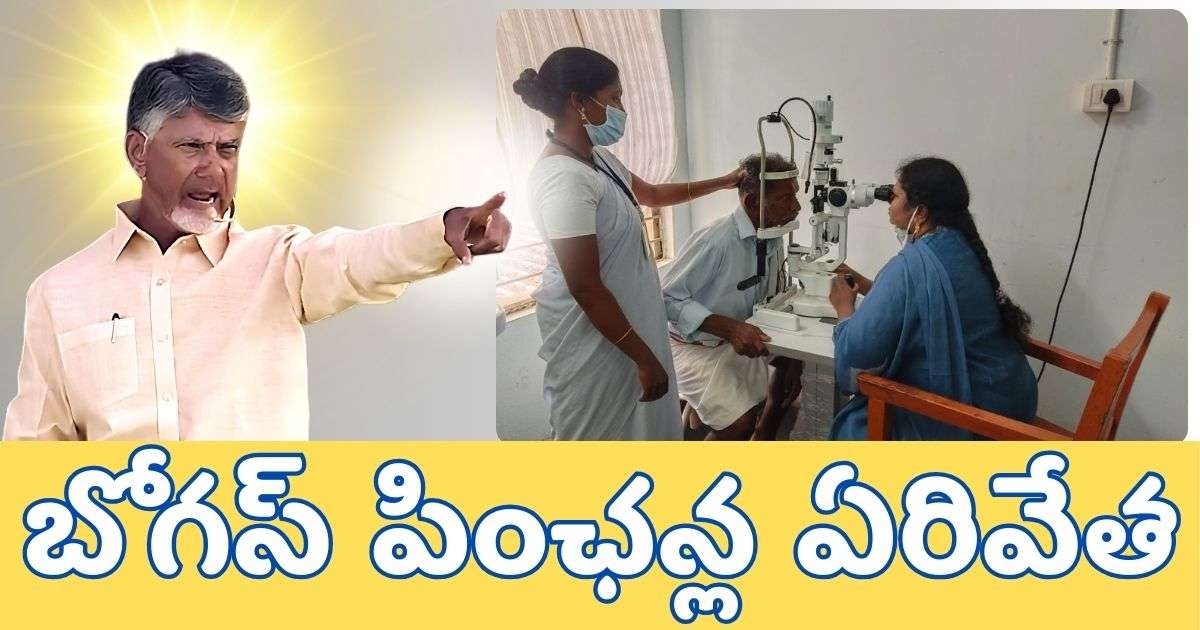 బోగస్ పింఛన్ల ఏరివేత 2025